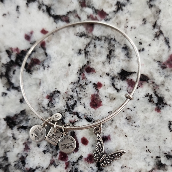 Alexand Ani Silver Butterfly Charm Bracelet. Charity By Design - Picture 1 of 5